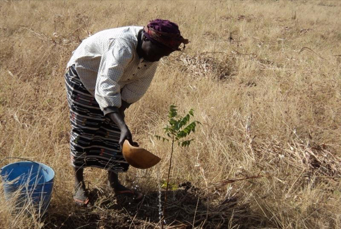 Liberia Project